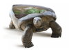 Cartoon: Turtlesoup! (small) by willemrasingart tagged haute,cuisine