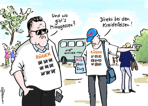 AfD Kreidefelsen AfD Kreidefelsen