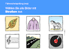 Führerschein neu