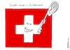 Cartoon: Schweizer Verschlüsselung (small) by Pfohlmann tagged 2020,schweiz,deutschland,usa,geheimdienst,bnd,cia,verschlüsselung,kryptographie,abhören