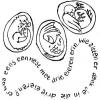 Cartoon: Egged animals (small) by mattheaodolphie tagged nature,ink,tree,fun,lines,animals,fish,alligator,bird,