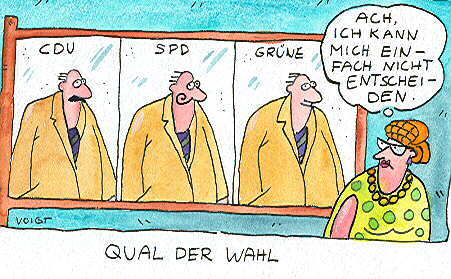Cartoon: wahl (medium) by sabine voigt tagged wahl,politik,wähler,partei,abstimmung,landtag