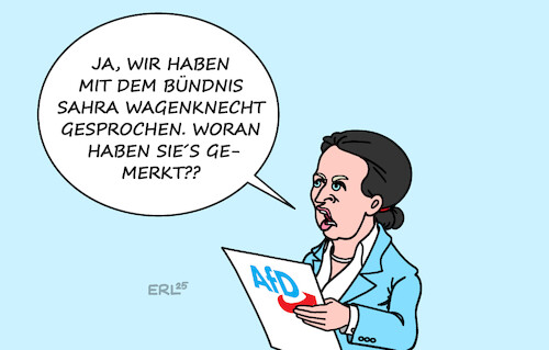 AfD BSW AfD BSW