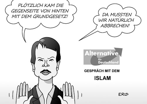 AfD Islam AfD Islam