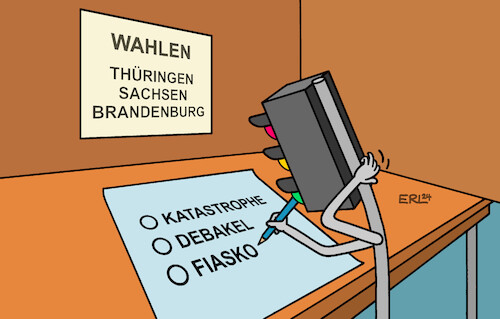 Die Qual der Wahl