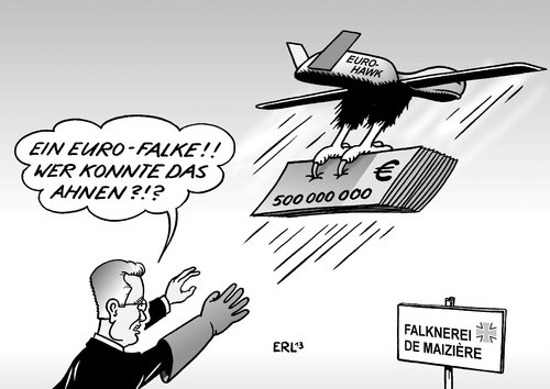 Falknerei De Maiziere Falknerei De Maiziere
