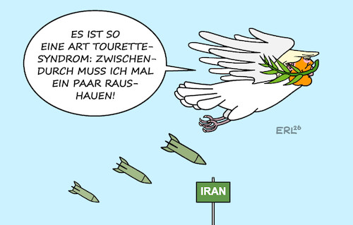 Friedenstaube II