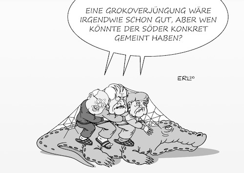 Grokoverjüngung Grokoverjüngung