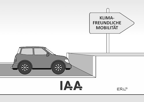 IAA 1 IAA 1