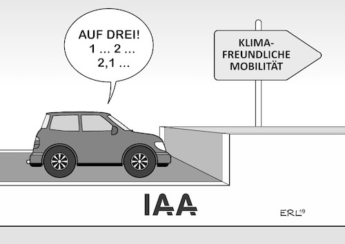 IAA 2 IAA 2
