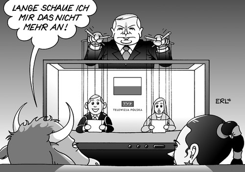 Polen EU