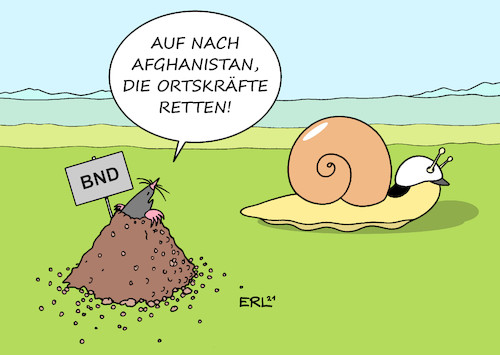 Cartoon: so oder so ähnlich (medium) by Erl tagged politik,afghanistan,nato,einsatz,militär,usa,deutschland,westen,truppen,rückzug,vormarsch,taliban,radikalislamisch,islamismus,terrorismus,afghanische,armee,kapitulation,evakuierung,schleppend,langsam,geheimdienst,einschätzung,situation,maulwurf,schnecke,karikatur,erl,so,politik,afghanistan,nato,einsatz,militär,usa,deutschland,westen,truppen,rückzug,vormarsch,taliban,radikalislamisch,islamismus,terrorismus,afghanische,armee,kapitulation,evakuierung,schleppend,langsam,geheimdienst,einschätzung,situation,maulwurf,schnecke,karikatur,erl