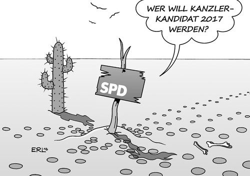SPD Kanzlerkandidat SPD Kanzlerkandidat