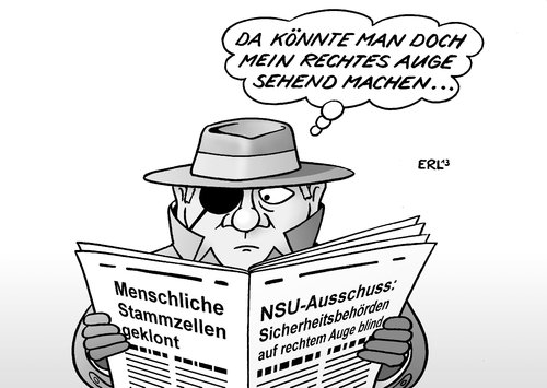 Stammzellen NSU-Ausschuss Stammzellen NSU-Ausschuss