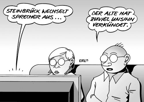 Steinbrück Steinbrück