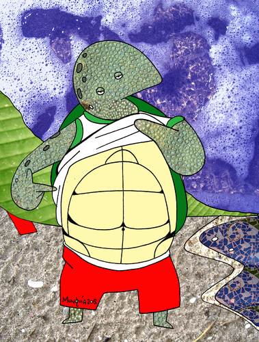 Cartoon: Turtle Abs (medium) by Munguia tagged turtle,abs,abdominal,tortuga,stomach,six,pack,the,situation,belly,beach,summer,vacation,munguia,calcamunguias