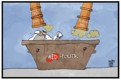 AfD-Politik