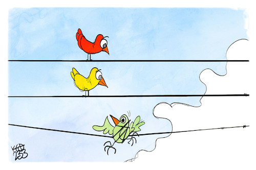 Cartoon: Ampel-Regierung (medium) by Kostas Koufogiorgos tagged karikatur,koufogiorgos,ampel,gruene,vogel,kabel,regierung,karikatur,koufogiorgos,ampel,gruene,vogel,kabel,regierung
