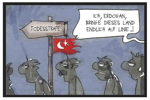 Die Türkei auf Linie