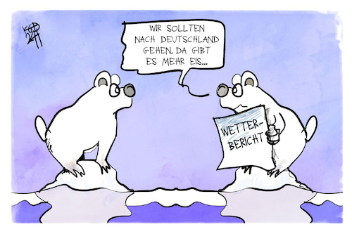 Cartoon: Eisregen in Deutschland (medium) by Kostas Koufogiorgos tagged karikatur,koufogiorgos,eisbär,glatteis,wetter,wetterbericht,karikatur,koufogiorgos,eisbär,glatteis,wetter,wetterbericht