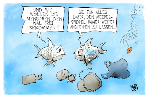Cartoon: Mensch und Wal (medium) by Kostas Koufogiorgos tagged karikatur,koufogiorgos,mensch,wal,meeresspiegel,klimawandel,meer,wasser,rettung,timmy,hope,karikatur,koufogiorgos,mensch,wal,meeresspiegel,klimawandel,meer,wasser,rettung,timmy,hope