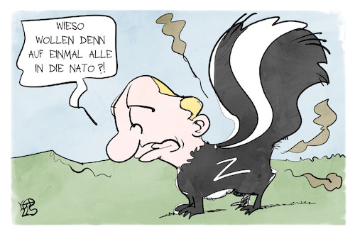 Cartoon: NATO (medium) by Kostas Koufogiorgos tagged karikatur,koufogiorgos,nato,putin,bündnis,verteidigung,stinktier,karikatur,koufogiorgos,nato,putin,bündnis,verteidigung,stinktier