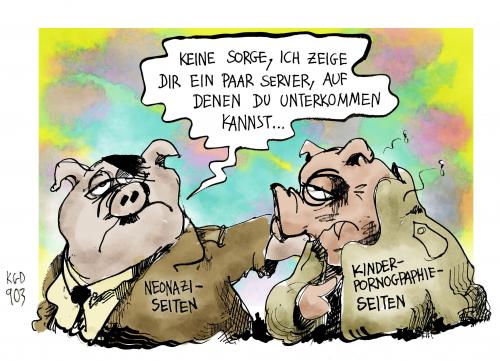 Schweine unter sich