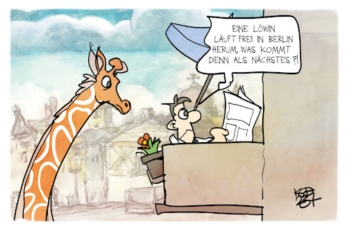 Cartoon: Wildtiere (medium) by Kostas Koufogiorgos tagged karikatur,koufogiorgos,löwe,giraffe,balkon,zeitung,nachrichten,wildtier,karikatur,koufogiorgos,löwe,giraffe,balkon,zeitung,nachrichten,wildtier