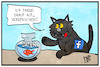 Cartoon: Facebook-Datenschutz (small) by Kostas Koufogiorgos tagged karikatur,koufogiorgos,illustration,cartoon,facebook,katze,fisch,datenschutz,nutzerdaten,verbraucherschutz,soziale,medien,datenskandal