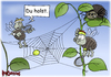 Cartoon: Du holst (small) by karicartoons tagged fliegen,fliege,insekten,spinne,netz,spinnennetz,tennis,gefahr,risiko,delegieren,warten,spielen