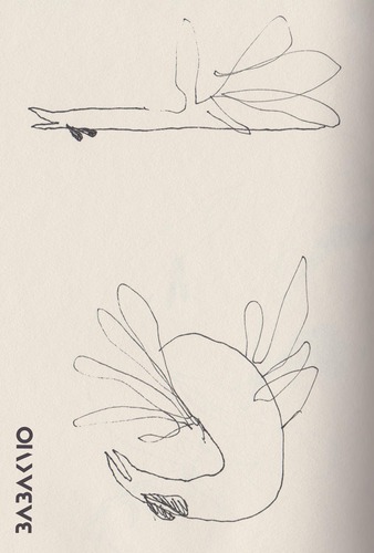 Cartoon: Dancing rooster (medium) by Babak Mo tagged babakmo,dancing,illustration,babak,art,kunst,mo,drawing,free,hand,dada,collage,artist,kunstler