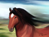 Cartoon: my horses (small) by semra akbulut tagged at,horse,semra,akbulut