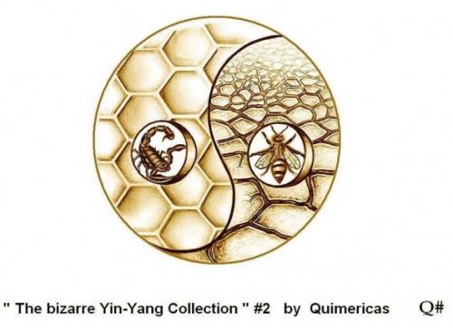 Cartoon: THE BIZARRE YIN YANG COLLECTION (medium) by QUIM tagged yin,yang,,yin,yang,skorpion,hornisse,biene,hummel,wespe,waben,sand,wüste,nest,bizarr,insekt,spinne,chitin,tracheen,gift,stachel,flügel,kneifzange,scheren,buddhismus,zen,harmonie,verhältnis,illustration,honig