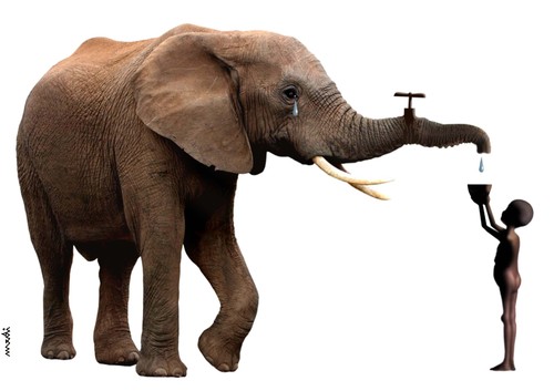 Cartoon: elephant s tap (medium) by Medi Belortaja tagged water,children,africa,african,tap,elephant,thirst,environment
