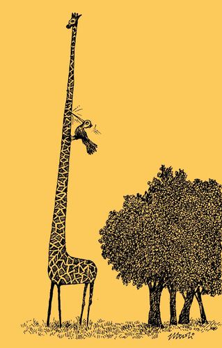 Cartoon: giraffe (medium) by Medi Belortaja tagged neck,bird,woodpecker,giraffe,peck,humor