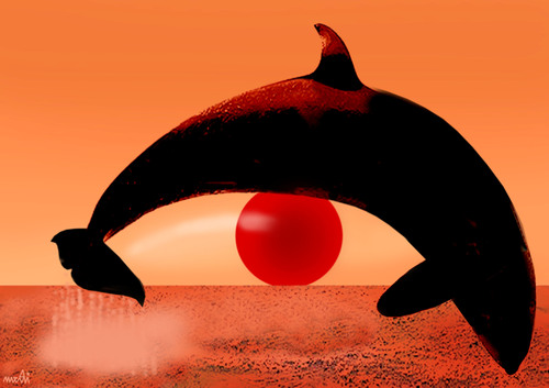 Cartoon: sunset (medium) by Medi Belortaja tagged whales,sunset,orca