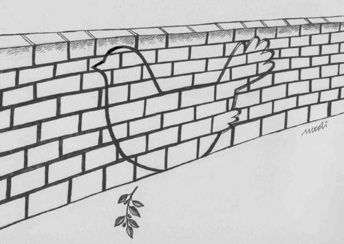 Cartoon: wallpeace (medium) by Medi Belortaja tagged wall,dove,colombo,pigeon,peace