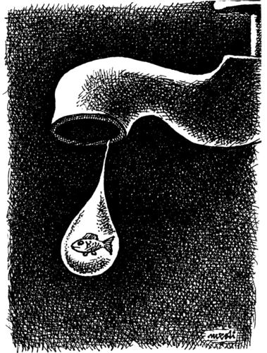 Cartoon: water (medium) by Medi Belortaja tagged drop,fish,life,water