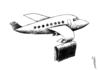 Cartoon: business plane (small) by Medi Belortaja tagged business plane luggage bag travelling