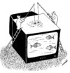 Cartoon: fishing in tv (small) by Medi Belortaja tagged fishing,fisherman,fish,tv