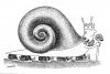 Cartoon: Snail King (small) by Medi Belortaja tagged snail,snails,king,dictatorship,dictator,shell