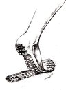 Cartoon: the feet (small) by Medi Belortaja tagged feet,poverty,leg,track,shoe