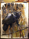 Cartoon: Solo Crow 1 (small) by halltoons tagged oil painting crow bird