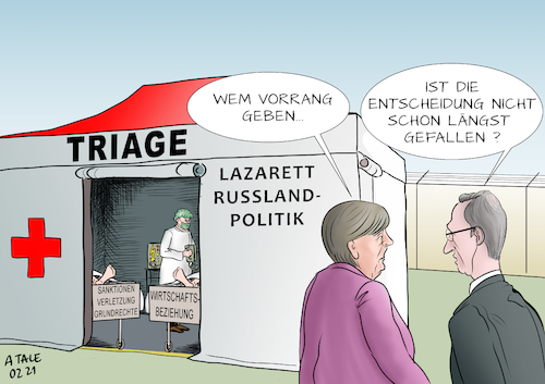 Politische Triage