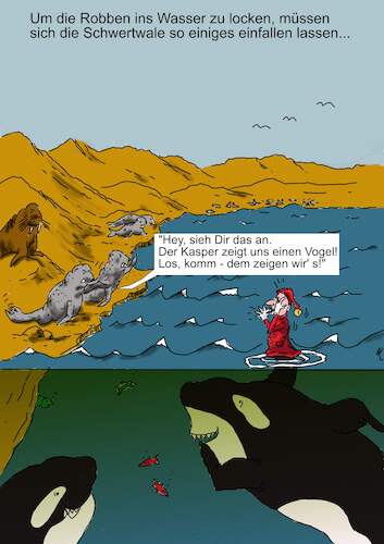 Cartoon: Jagdverhalten (medium) by khartoon67 tagged schwertwal,robbe,nahrung,jagd,meer,kasper