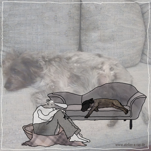 Cartoon: Hundekorb (medium) by kika tagged hund,mensch,sofa,hundekorb