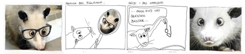 Cartoon: irgendwie fand ichs vorher besse (medium) by kika tagged heidi,schielende,oppossum,fielmann