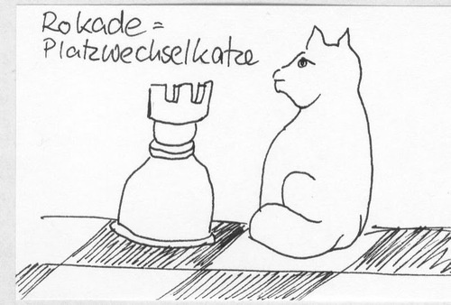 Cartoon: Katzenlexikon (medium) by manfredw tagged katze,rochade,schach