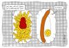 Cartoon: CURRY WURST CONTEST 030 (small) by toonpool com tagged currywurst,contest