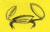 Cartoon: Crab (small) by claretwayno tagged crab,sea,side,ocean,pincers,snip,crabby,crustacean,lobster